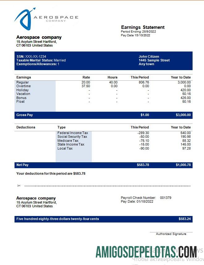 Demonstrativo de ganhos da empresa aeroespacial em formatos Word e PDF baixar para verificação